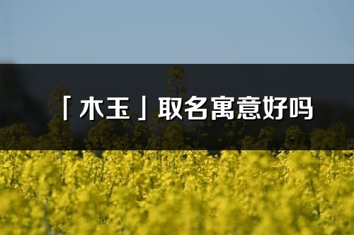 「木玉」取名寓意好嗎_木玉名字含義及五行