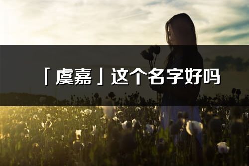 「虞嘉」這個名字好嗎_虞嘉名字寓意,含義