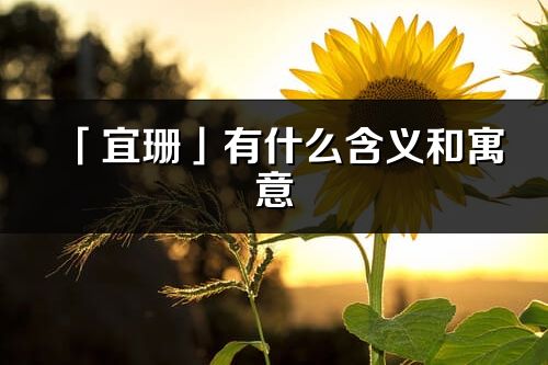 「宜珊」有什么含義和寓意_宜珊名字的出處與意思