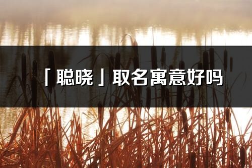 「聰曉」取名寓意好嗎_聰曉名字含義及五行