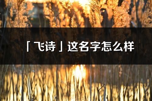 「飛詩」這名字怎么樣_飛詩的名字解釋