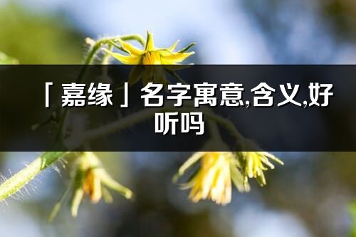 「嘉緣」名字寓意,含義,好聽嗎_嘉緣名字分析打分