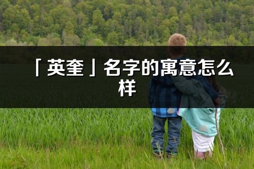 「英奎」名字的寓意怎么樣_英奎的出處