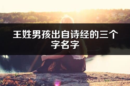 王姓男孩出自詩經(jīng)的三個(gè)字名字