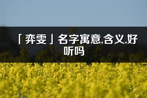 「弈雯」名字寓意,含義,好聽嗎_弈雯名字分析打分