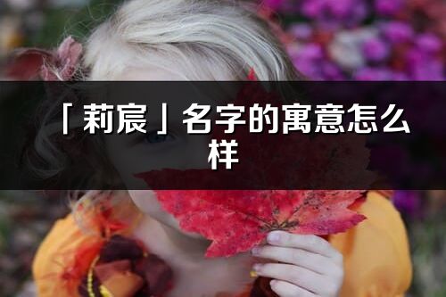 「莉宸」名字的寓意怎么樣_莉宸的出處