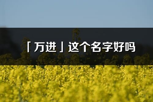 「萬進」這個名字好嗎_萬進名字寓意,含義
