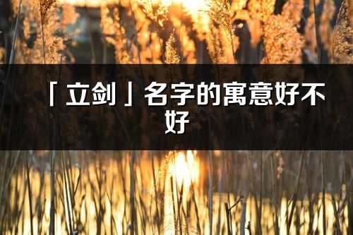 「立劍」名字的寓意好不好_立劍含義分析