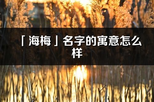 「海梅」名字的寓意怎么樣_海梅的出處