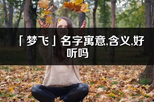 「夢飛」名字寓意,含義,好聽嗎_夢飛名字取名打分