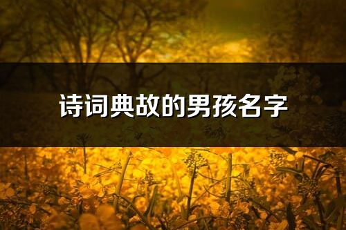 詩詞典故的男孩名字