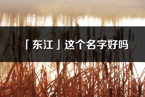 「東江」這個名字好嗎_東江名字寓意,含義