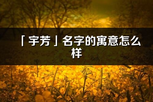 「宇芳」名字的寓意怎么樣_宇芳的出處