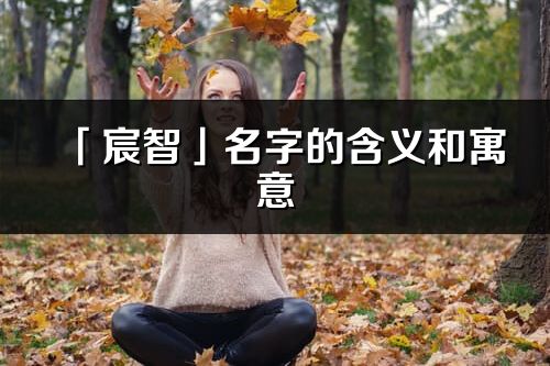 「宸智」名字的含義和寓意_宸智的出處與意思解釋