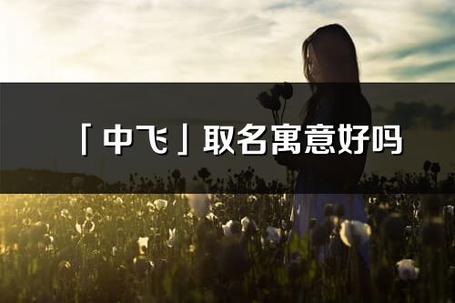 「中飛」取名寓意好嗎_中飛名字含義及五行