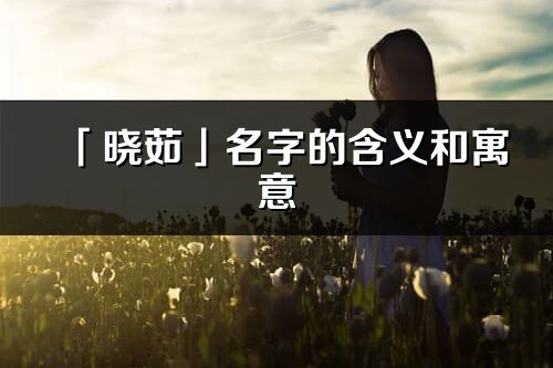「曉茹」名字的含義和寓意_曉茹的出處與意思解釋