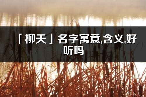 「柳天」名字寓意,含義,好聽嗎_柳天名字分析打分