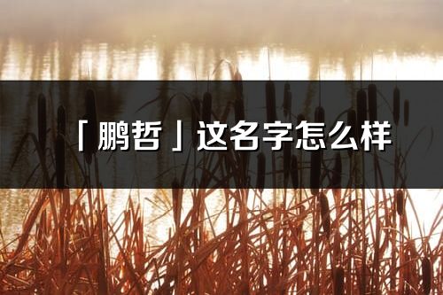 「鵬哲」這名字怎么樣_鵬哲的名字解釋