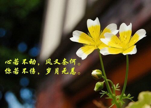 微信情侶網名大全(精選67個)