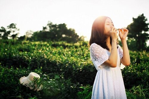好聽(tīng)超長(zhǎng)的古風(fēng)網(wǎng)名(517個(gè))