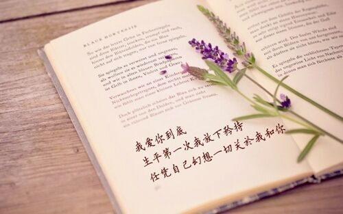 香腸派對(duì)冷酷的四字名字(精選130個(gè))