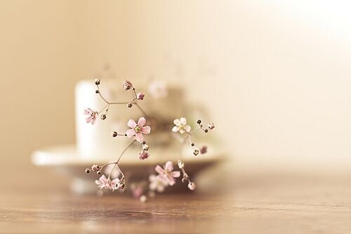 一個人寒了心的名字(共87個)