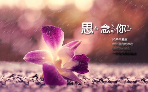 創意可愛影視公司名字(共218個)