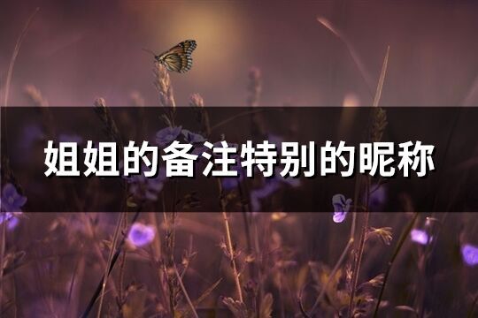 姐姐的備注特別的昵稱(精選80個)