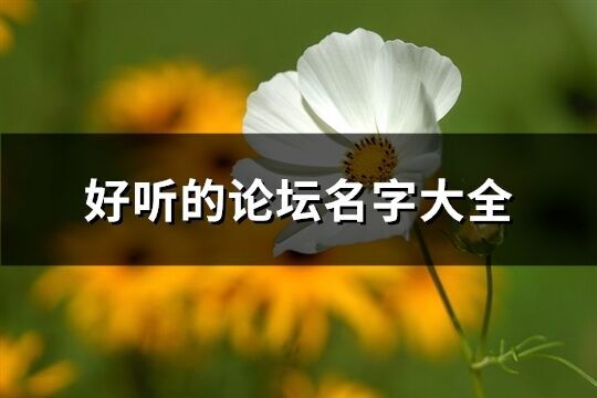 好聽的論壇名字大全(共85個)