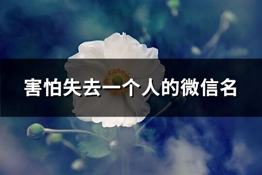 害怕失去一個人的微信名(優(yōu)選92個)