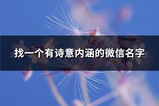 找一個有詩意內涵的微信名字(353個)