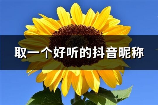 取一個好聽的抖音昵稱(優(yōu)選900個)