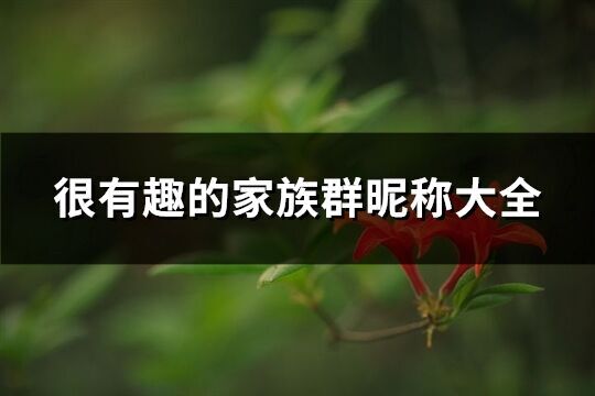 很有趣的家族群昵稱大全(優選248個)