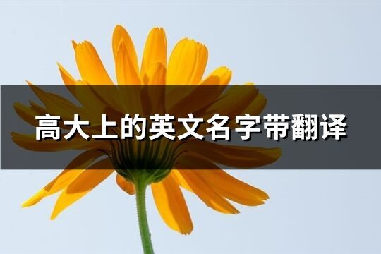 高大上的英文名字帶翻譯(共79個)