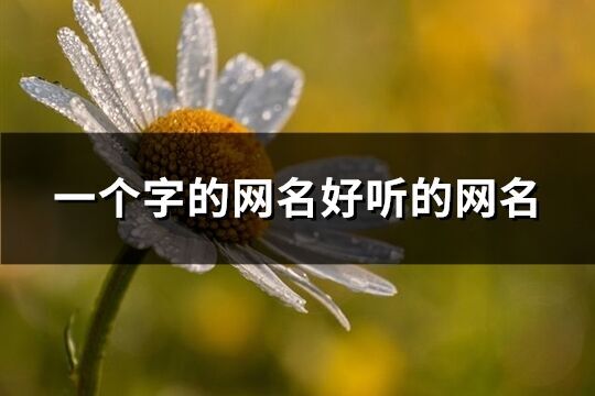 一個字的網名好聽的網名(精選265個)