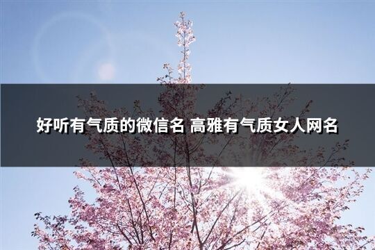 好聽有氣質的微信名 高雅有氣質女人網名(精選547個)