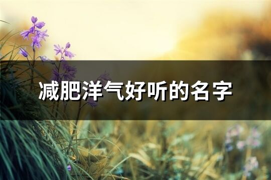 減肥洋氣好聽的名字(共145個)