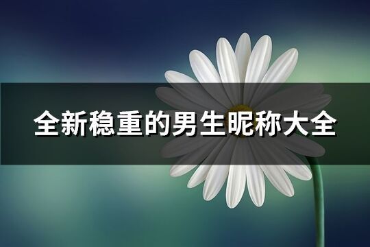 全新穩重的男生昵稱大全(共1509個)