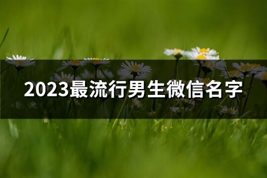 2023最流行男生微信名字(優選4047個)