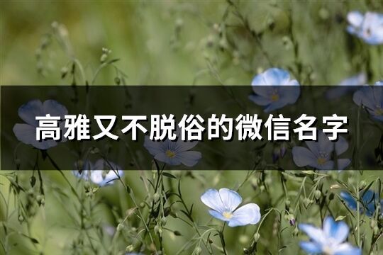 高雅又不脫俗的微信名字(優(yōu)選468個)