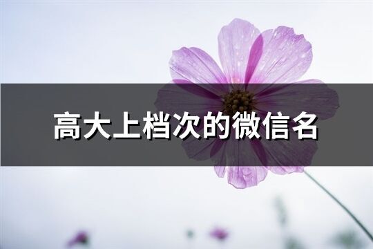 高大上檔次的微信名(優(yōu)選912個)