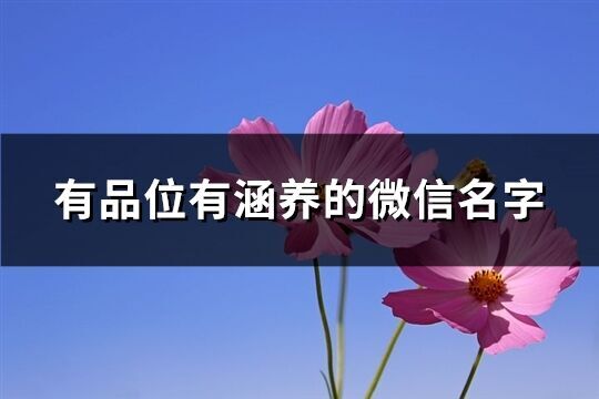 有品位有涵養的微信名字(393個)