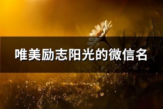 唯美勵(lì)志陽(yáng)光的微信名(100個(gè))