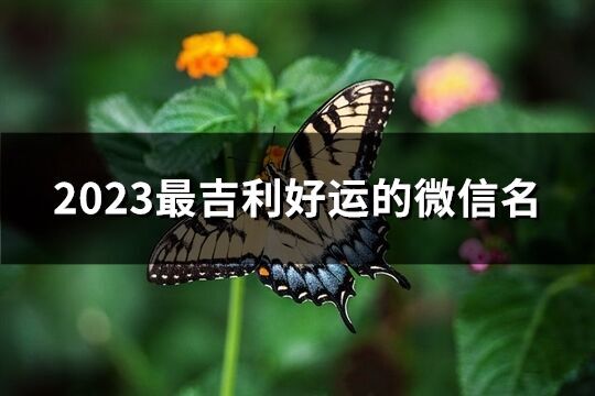2023最吉利好運(yùn)的微信名(精選5786個(gè))