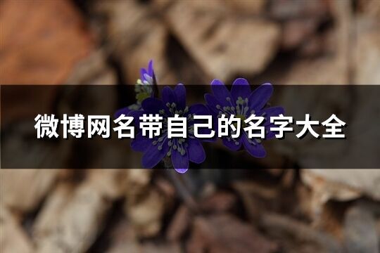 微博網(wǎng)名帶自己的名字大全(共85個(gè))