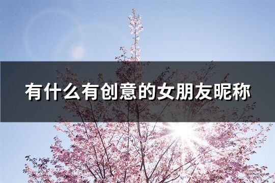 有什么有創(chuàng)意的女朋友昵稱(176個)