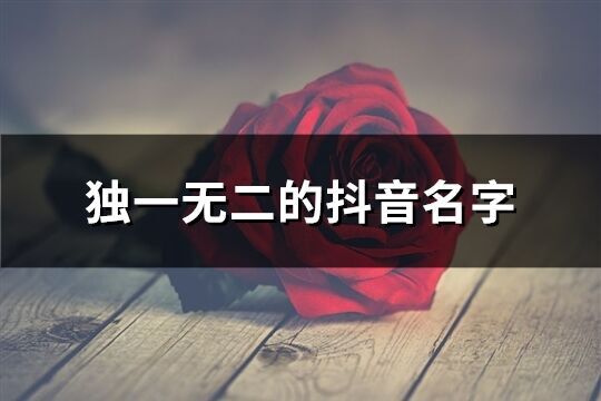 獨一無二的抖音名字(899個)