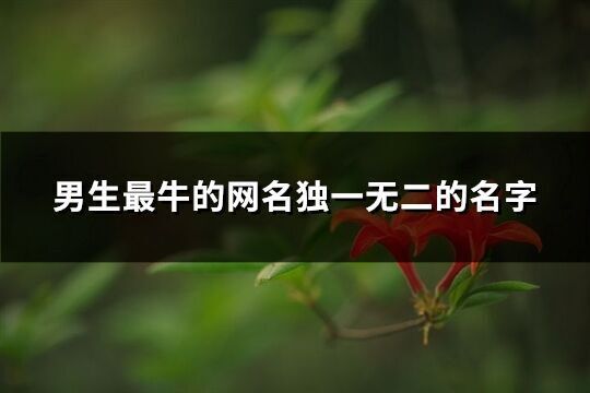 男生最牛的網(wǎng)名獨(dú)一無二的名字(優(yōu)選218個(gè))