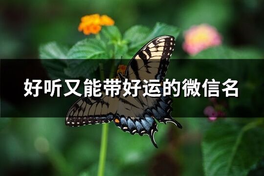 好聽又能帶好運(yùn)的微信名(優(yōu)選852個(gè))