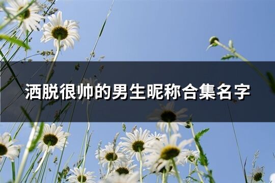 灑脫很帥的男生昵稱合集名字(優(yōu)選138個)